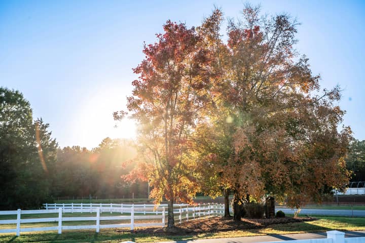 Fall Artisan Market