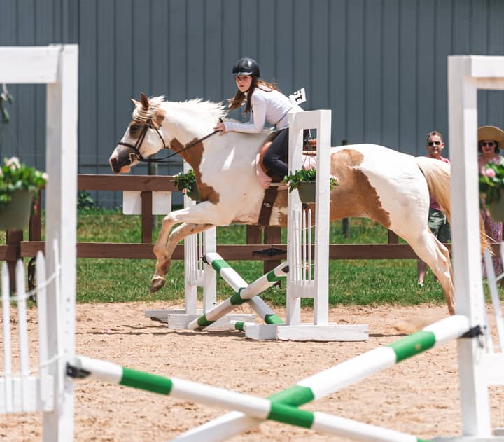 Fall Horse Show