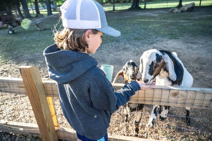 Fall Break Camp at the Children’s Farm