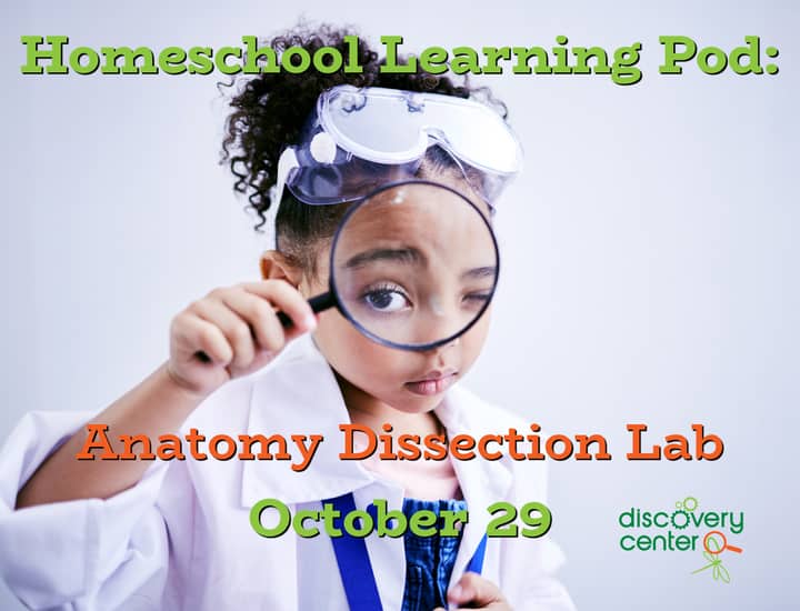 Homeschool Learning Pods: Anatomy Dissection Labs – Frog