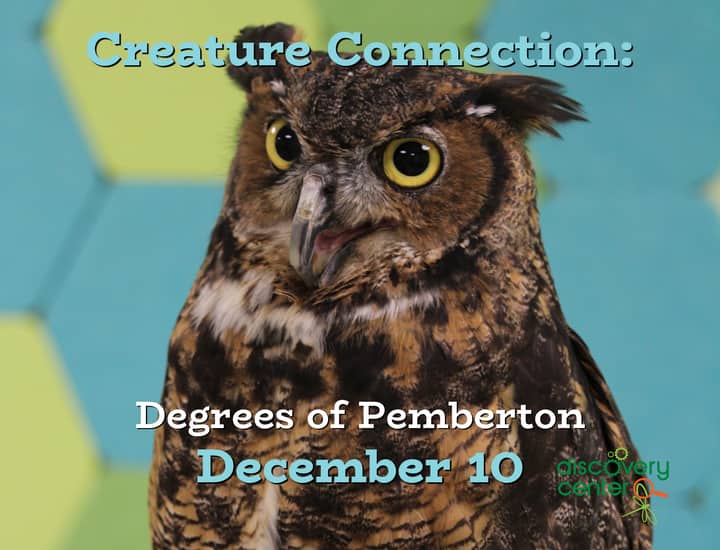Creature Connection: Degrees of Pemberton