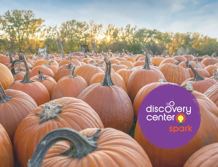 SPARK! The Great Pumpkin Investigation