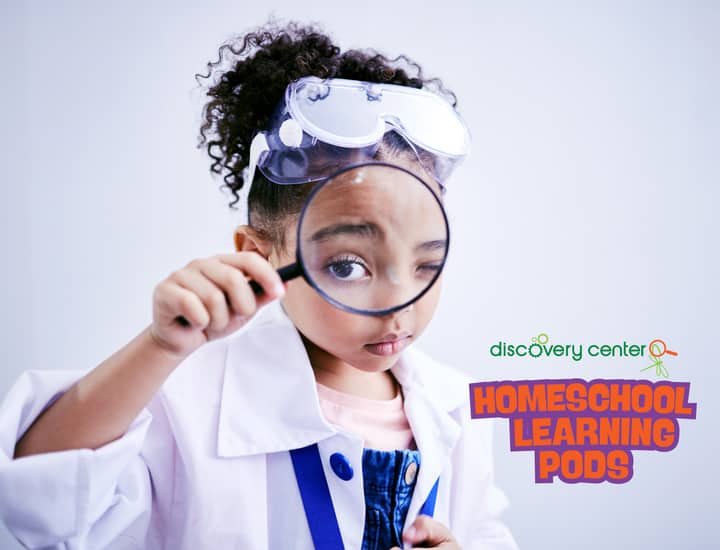 Homeschool Learning Pods: Anatomy Dissection Labs – Cow Eye