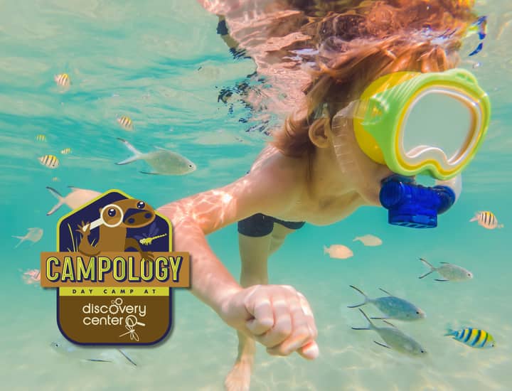 Thanksgiving Break Campology: Operation: Ocean