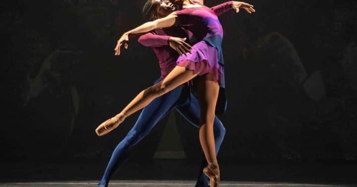Collage Dance Collective