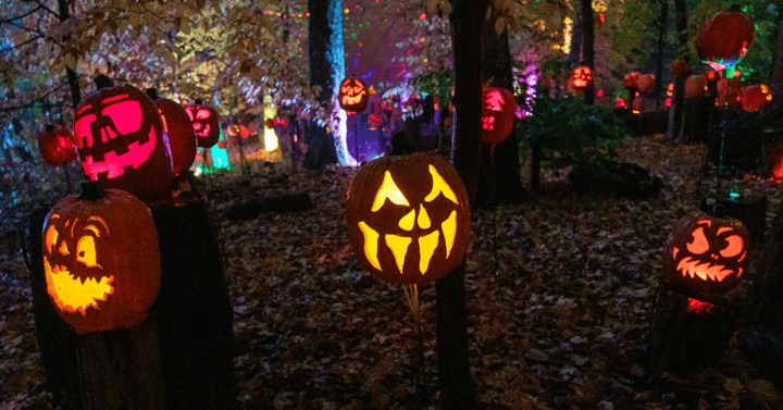 Jack's Lantern Trail