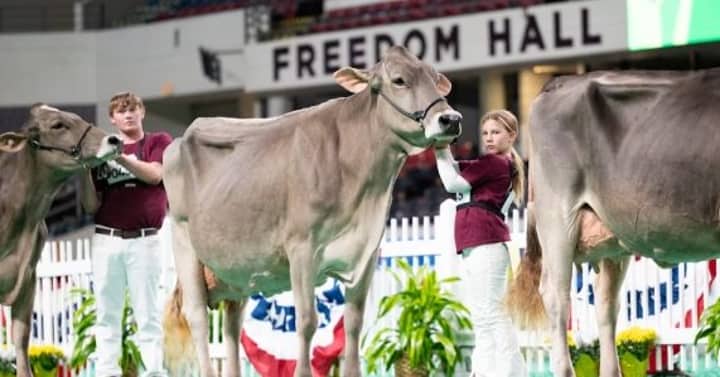 North American Livestock Exposition & Championship Rodeo