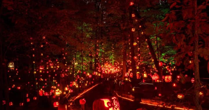 Jack's Lantern Trail Experience