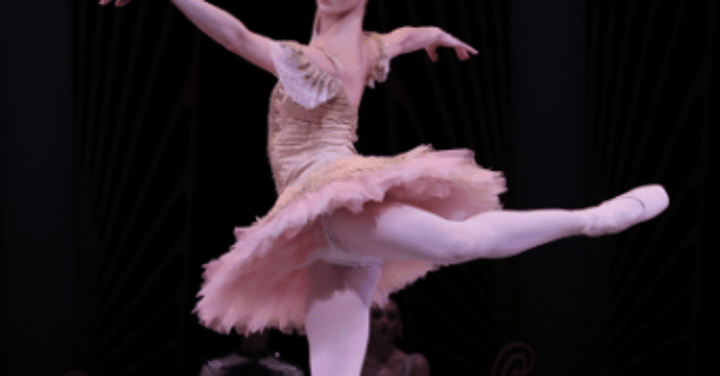 The Brown-Forman Nutcracker