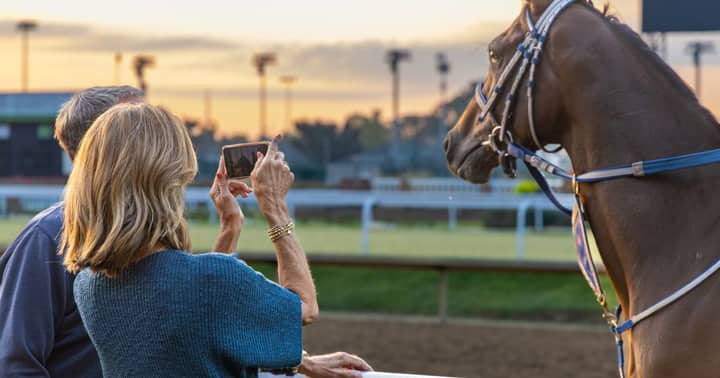 Thoroughbred Workout Tour