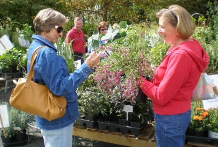 Lewis Ginter Fall Plant Sale