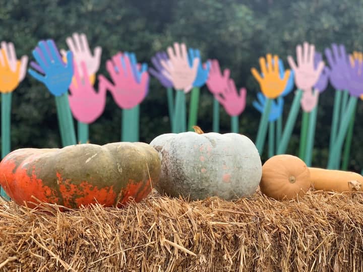 HarvestFest