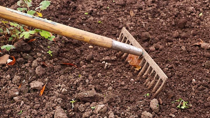 Building Healthy Soil