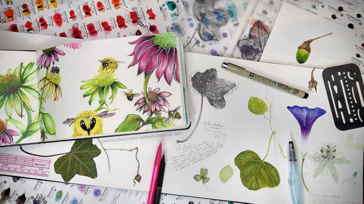 Introduction to Nature Journaling Fall