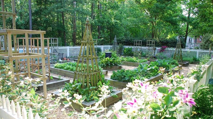 Fall in the Kitchen Garden