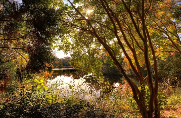 SEASONAL SPLENDOR TOUR: SEPTEMBER 22