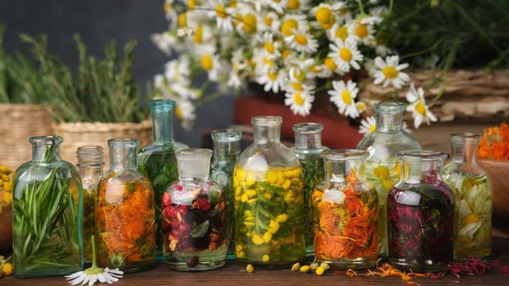 Herbalism 101: Herbal Elixirs & Mocktails from the Garden