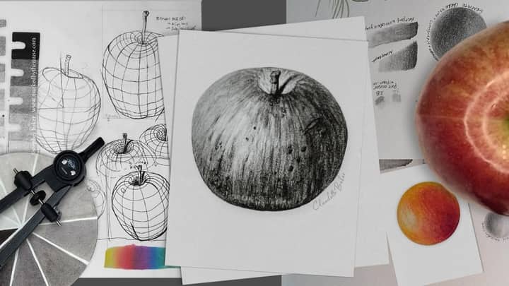 Introduction to Botanical Drawing III