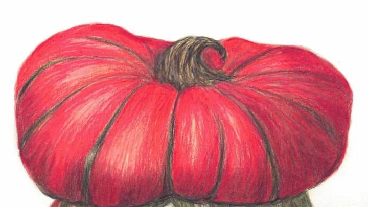 Botanical Illustration Intensive: Gorgeous Gourds in Colored Pencil