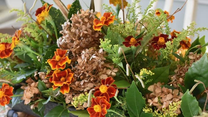 Seasonal Remix: Fresh Meets Dried