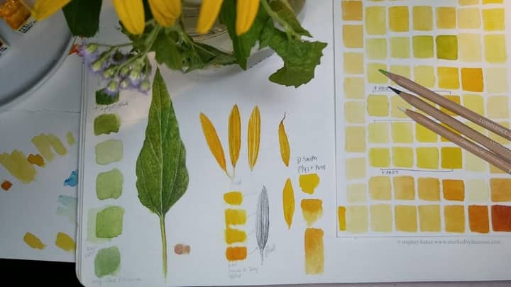 Botanical Drawing: Mixed Media Explorations