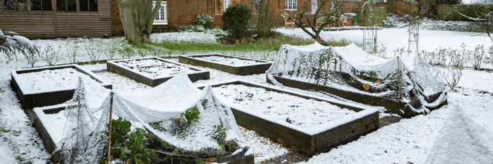 Prepping Your Fall and Winter Vegetable Garden