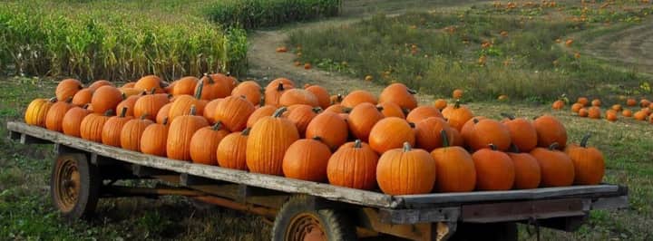 Cedarburg Creek Farm’s Haunted Hayride