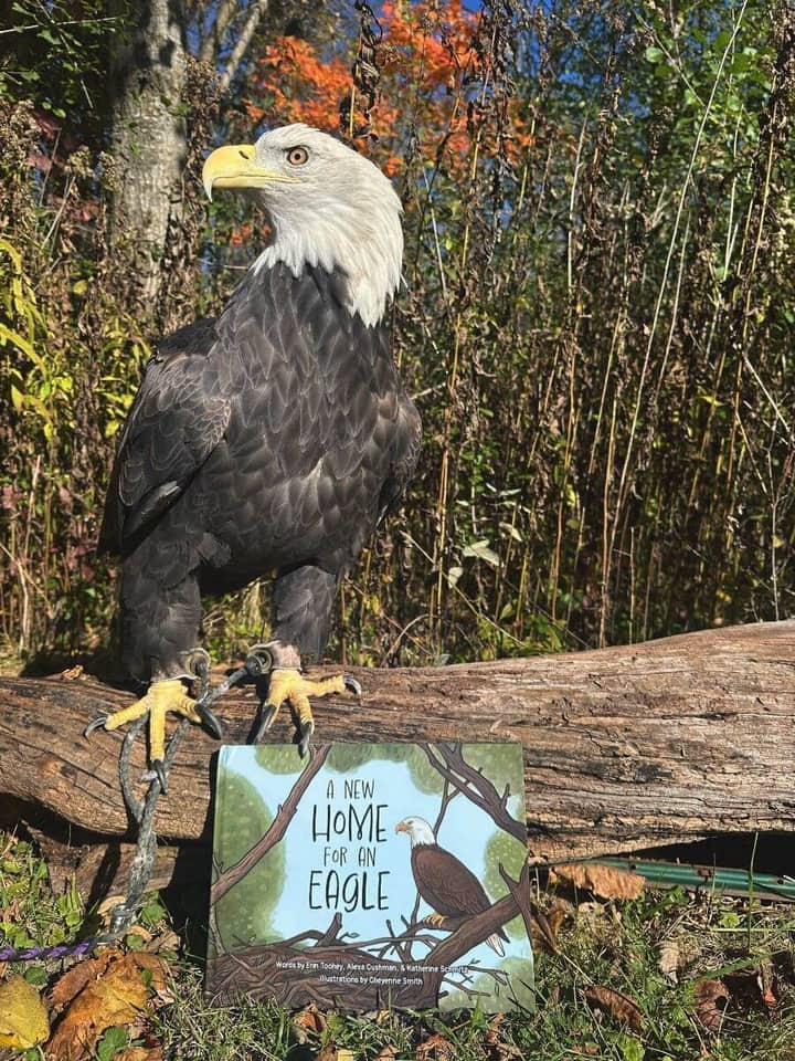 Raptor Saturday at Schlitz Audubon MKE