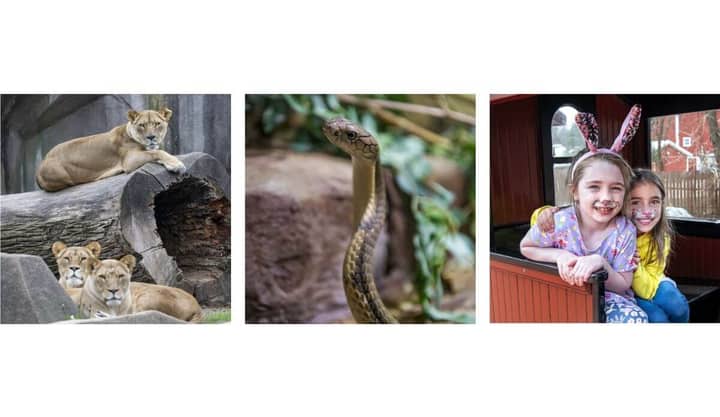 Milwaukee Zoo Family Free Day