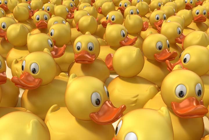 Kids Fest and Duck Race
