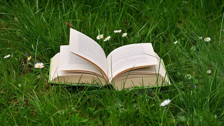 Virtual Book Club: Never Home Alone