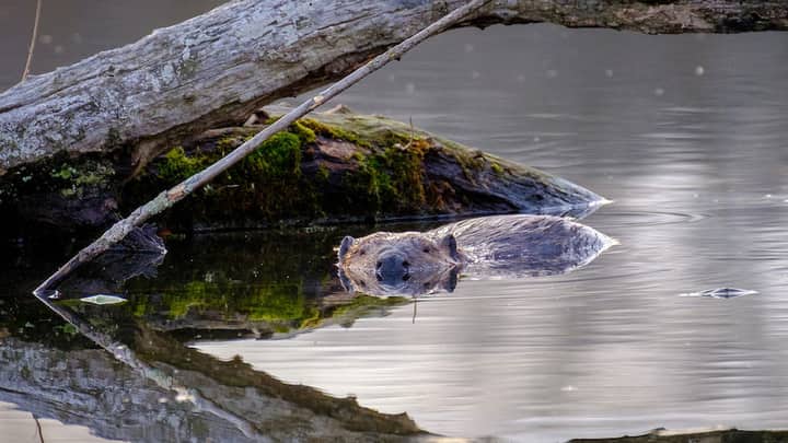 Watery Winter Warriors