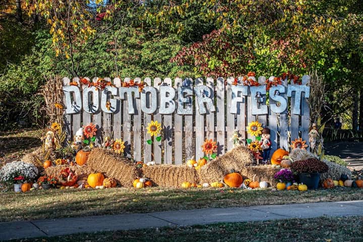 32nd Annual Dogtober Fest