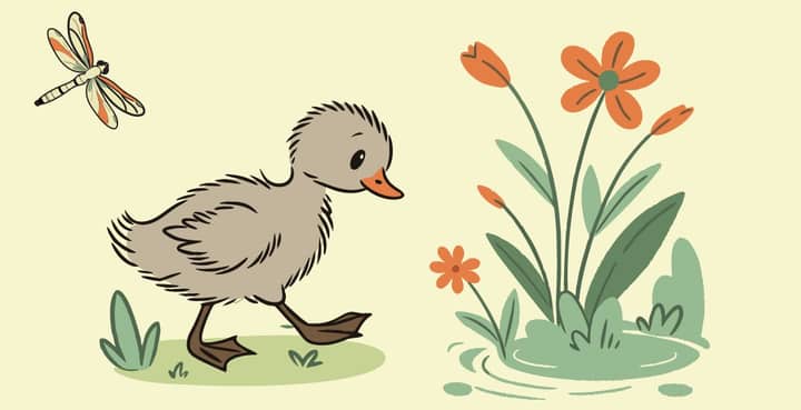 Ugly Duckling