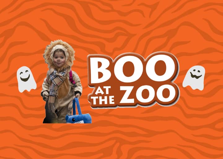 Boo at the Zoo
