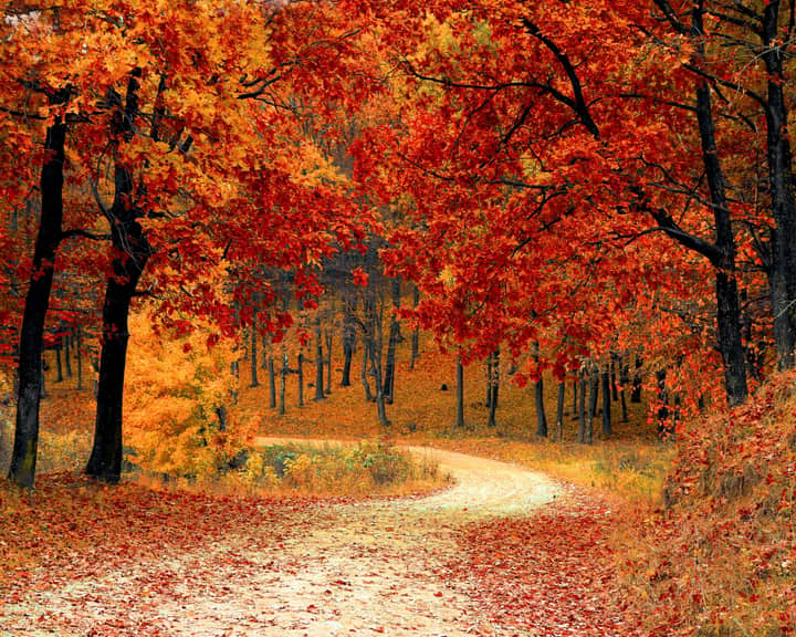 Fall Frenzy at Adventure Point