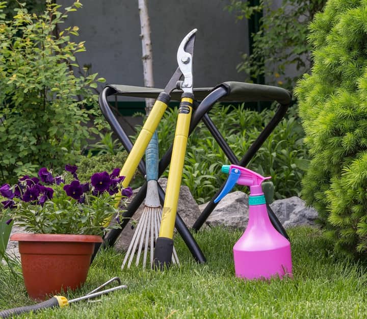 Master Gardeners: What's Wrong With My Plant? Summer Garden Diagnostics