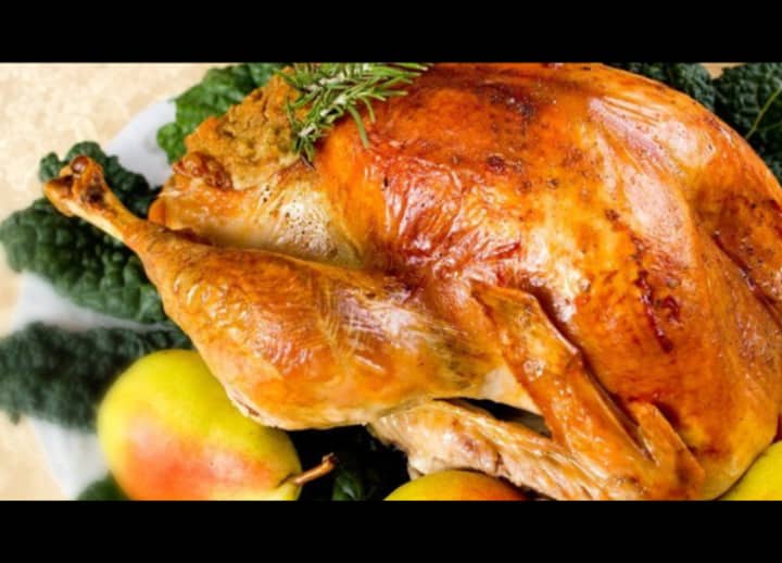 Thanksgiving Dinner Cruise