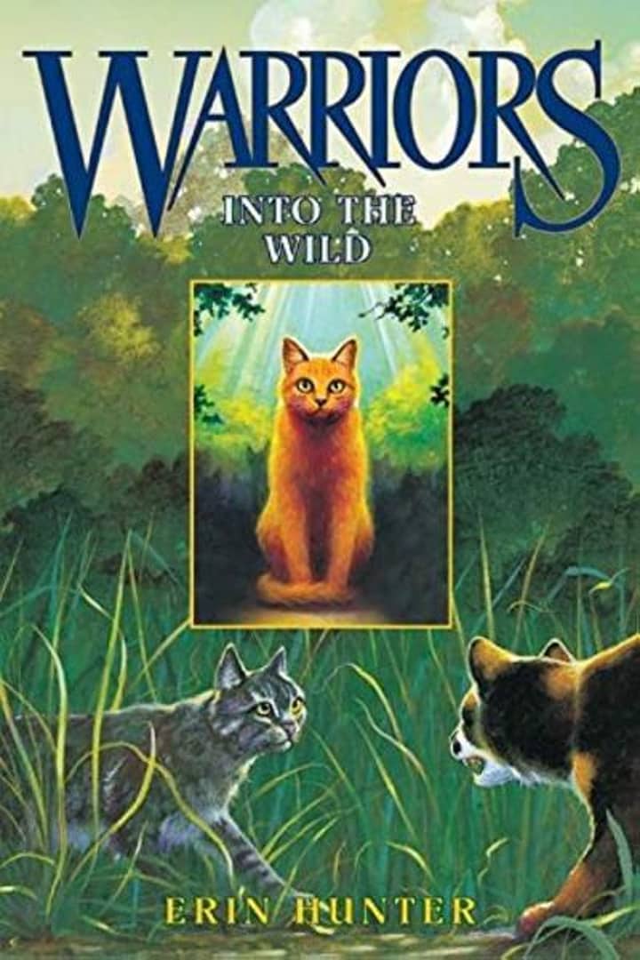 Warrior Cats Book Party