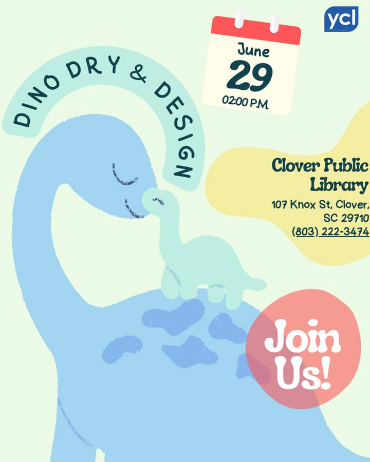Dino Dry & Design