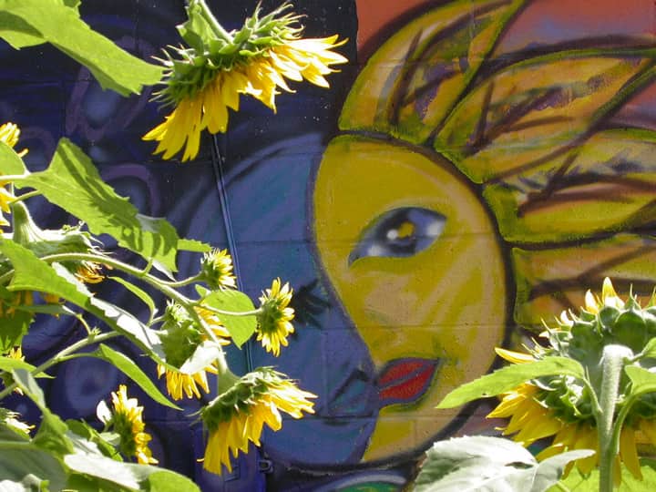Artist-guided gallery tour with Loren Bucek & April Sunami