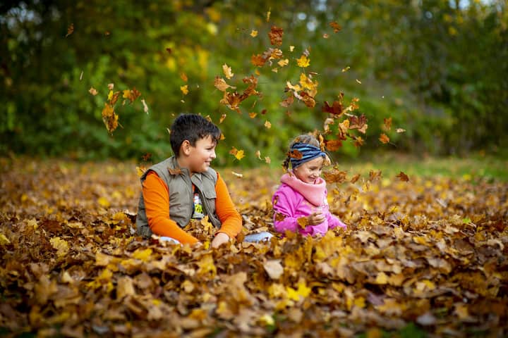 Child Care Provider Workshop: Exploring Nature with Young Children