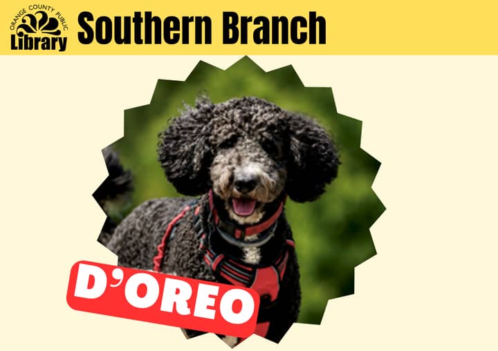 Southern Tales and Tails
