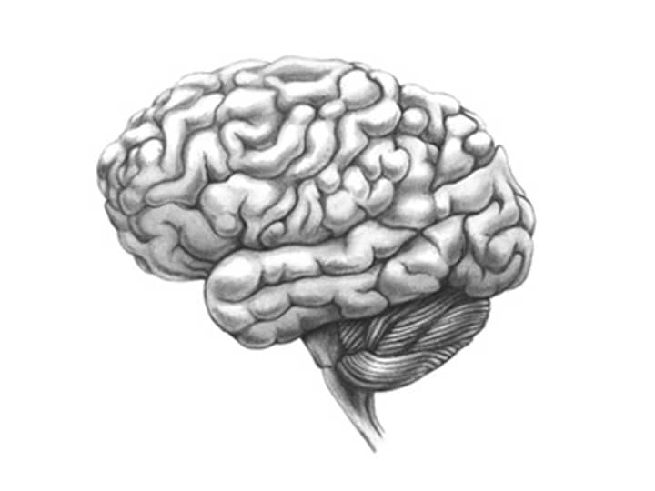 Dead Man's Brains