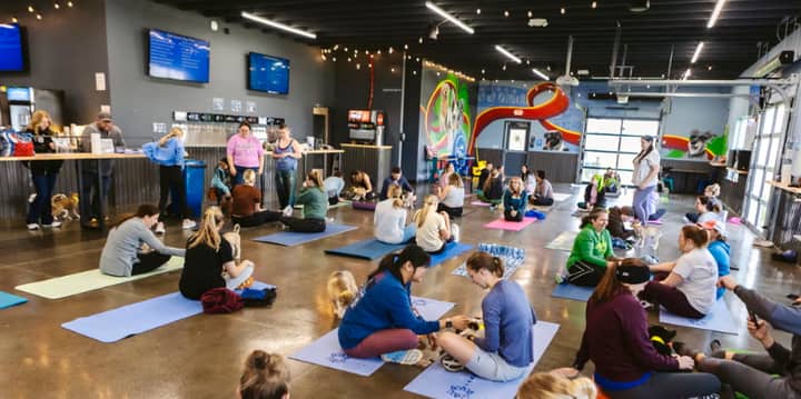 Puppy Yoga at the DogBar