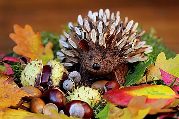 Take and Make: Prickly Pinecone Hedgehogs