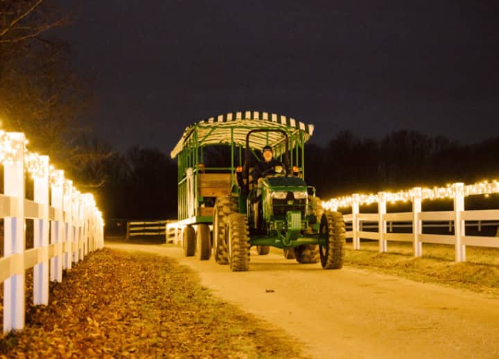 Holidays on the Farm