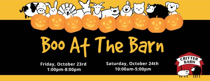 Boo at the Barn