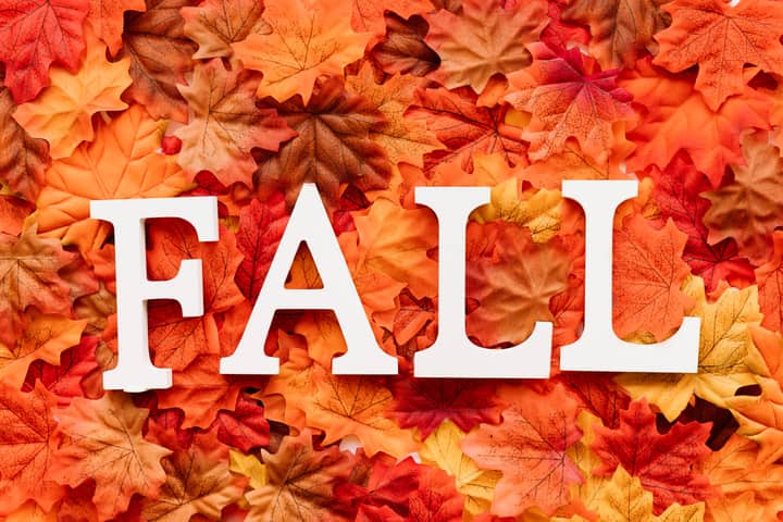 L is for Lovely Leaves