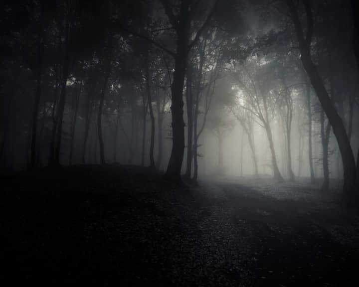 The Haunted Forest 2026